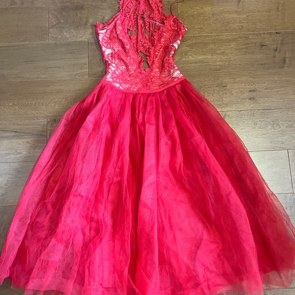 Elegant Lace Dress with tulle